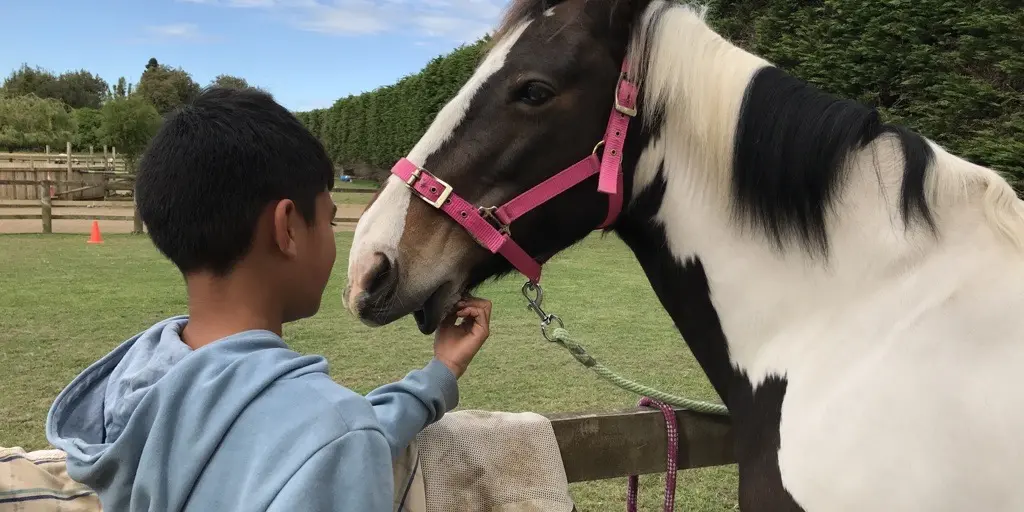 Levin Horse Riding